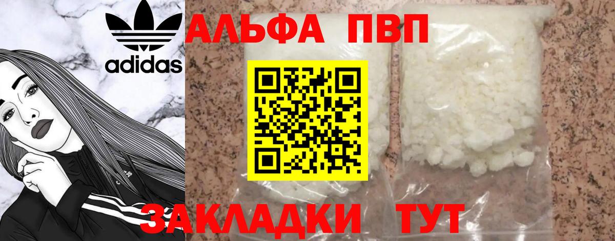 Alfa_PVP СК Асино