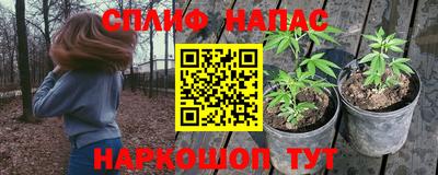 спиды Нарткала