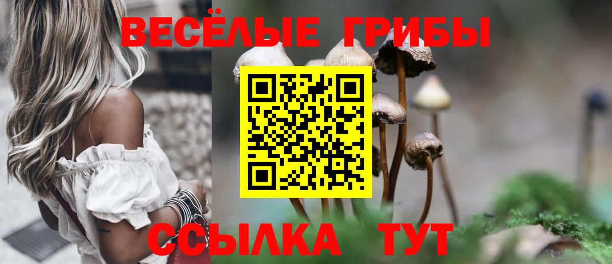 Галлюциногенные грибы Psilocybe  Псилоцибиновые грибы Magic Shrooms  Вход с VPN  Асино 